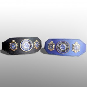 BUDGET CUSTOM CHAMPIONSHIP BELT  ***BEST SELLER***